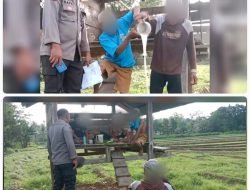 Ops Cipkon Polsek Sinjai Selatan Temukan Warga Komsumsi Miras Jenis Ballo