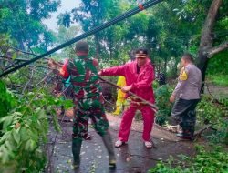 Gerak Cepat Babinsa koramil 1409-08/Bontonompo atasi Pohon Tumbang