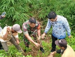 Lestarikan Alam,Koramil 1409-04/Tinggimoncong Laksanakan Karya Bakti Penanaman Pohon