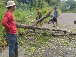 Kapolsek Pitu Riase Turunkan Personel Untuk Bersihkan Pohon Tumbang di Jalan Poros Baruku