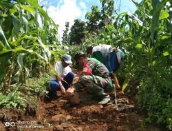Atasi Kesulitan Warga,Babinsa Koramil Tompobulu Bantu Pembuatan Jalan Tani