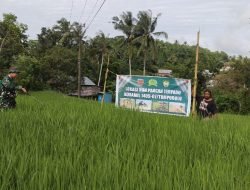 Babinsa Koramil 07 Tompobulu Motivasi Petani Untuk Meningkatkan Ketahanan Pangan