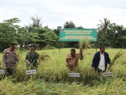 Kapolres Takalar Hadiri Giat Panen Raya Kodim 1426 Takalar