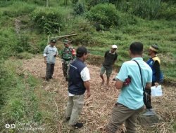 Babinsa 07 Tompobulu Survei Lokasi Kesiapan Ketahanan Pangan Bersama Tim BPP