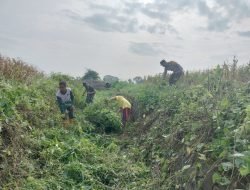 Peduli Lingkungan,Babinsa Koramil 05/Pallangga Bersihkan Parit Saluran Air