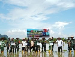 Pangdam XIV/Hsn Memimpin Panen Raya,Penanaman Padi dan Jagung Secara Serentak di Wilayah Kodam XIV/Hsn