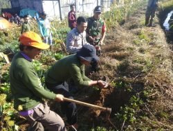Lestarikan Alam,Koramil 1409-04/Tinggimoncong Karya Bakti Penanaman Pohon