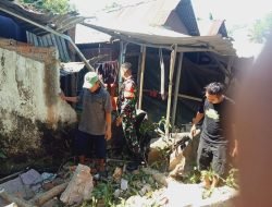 Peduli Sesama,Babinsa Bantu Rumah Warga Yang Tertimpa Pohon Tumbang