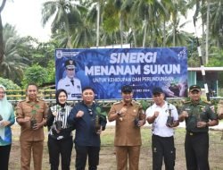 Pangdam XIV/Hasanuddin dan Pj Gubernur Sulbar Kolaborasi Tanam Sukun di Mamuju