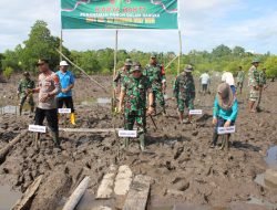 HUT Ke-67 Tahun 2024 Kodam XIV/Hsn, Gelar Penanaman Pohon dan Mangrove Secara Serentak di Wilayah Teritorialnya