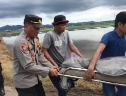 Aksi Cepat Kapolsek Maritengngae Evakuasi Mayat di Area Persawahan