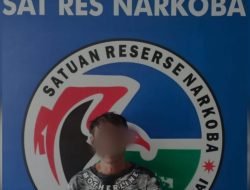 DPO Sat Resnarkoba Polres Sinjai Berhasil di Amankan