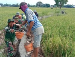 Tingkatkan Hanpangan,Babinsa Bersama Warga Perbaiki Saluran Irigasi Sawah