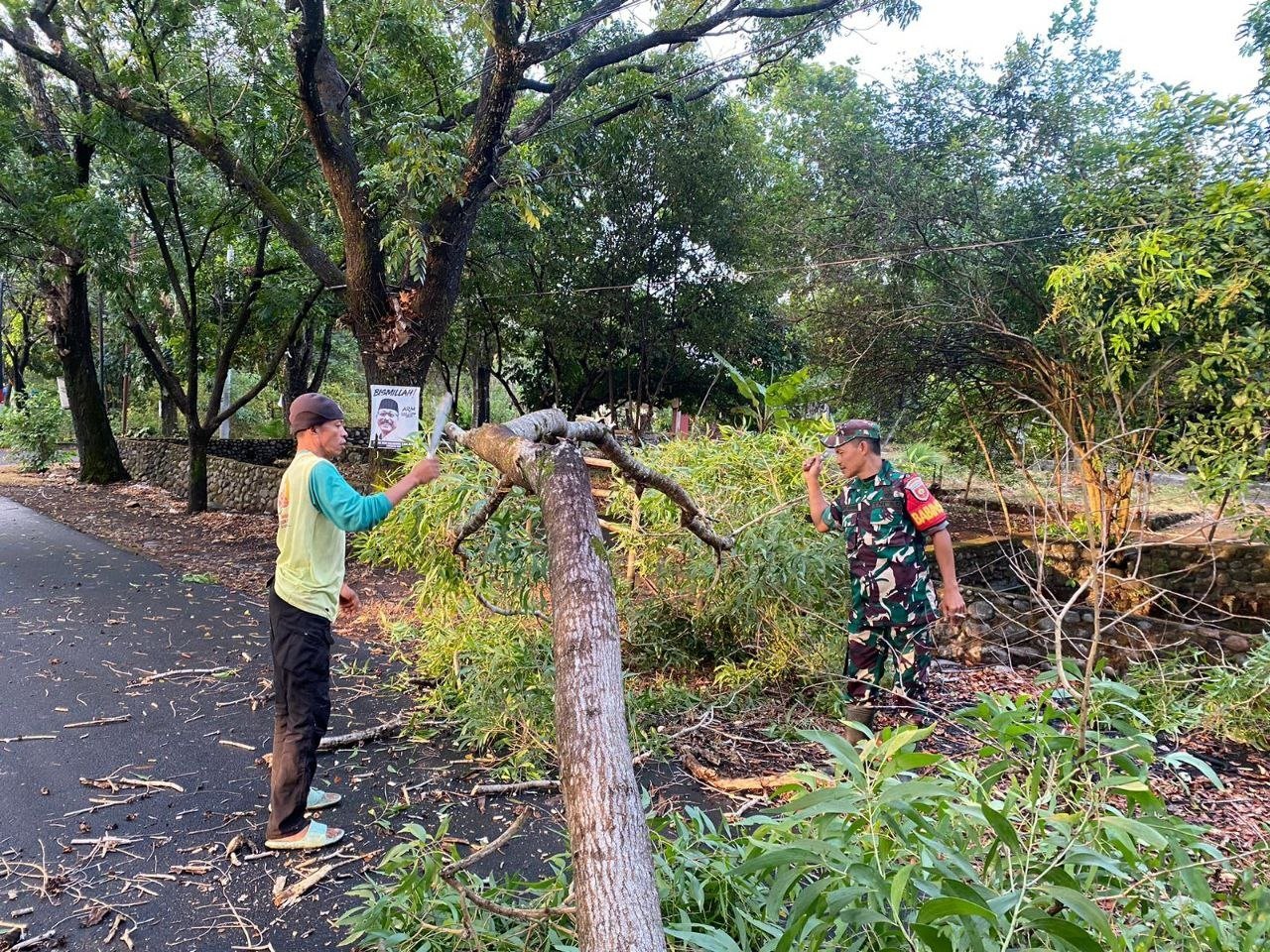 Babinsa Koramil 1409-02/Parangloe dan Warga Sigap Bersihkan Pohon Tumbang di Jalan Poros Malino Sungguminasa