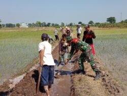 Babinsa bersama Warga lakasanaan Kegiatan Karya Bakti