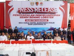 Konferensi Pers Penyelundupan Benih  Bening Lobster Sebanyak 237.305 Benih Bening Lobster Senilai 23,6 Miliar Rupiah