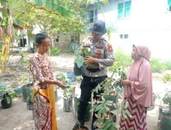 Program Ketahanan Pangan di Pulau Barrang Lompo, Kolaborasi Polri dan Masyarakat untuk Kemandirian Pangan
