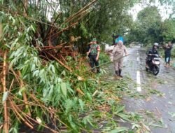 Babinsa Kodim 1409/Gowa Bantu Membersihkan Pohon Bambu