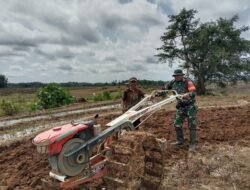 Babinsa Kodim 1409/Gowa Bantu Petani Bajak Sawah Dengan Traktor