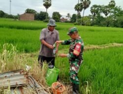 Babinsa Koramil 05 Pallangga Lakukan Pendampingan Penyemprotan Tanaman Padi