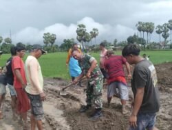 Babinsa Kodim Gowa Bersama Masyarakat Karya Bakti Perbaiki Jalan Tani