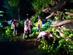 Bhabinkamtibmas Polsek Polut Bantu Warga Bersihkan Pohon Tumbang di Jalan Poros Takalar