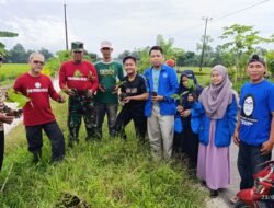 Penanaman Sejuta Pohon oleh Peknas Sulsel Berkolaborasi dengan TNI dan Pemerintah Desa Barembeng serta KKP-FAI Unismuh Makassar