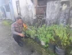 Bersama Warga, Polres Pelabuhan Makassar Bangun Kemandirian Pangan dari Pekarangan