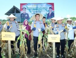 Kapolda Sulsel Panen Jagung di Bulukumba dalam Program Ketahanan Pangan