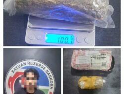 Miliki 100 Gram Ganja, Warga Jalan Lure Diamankan Satres Narkoba Polres Bone 