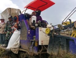 Babinsa Koramil 1409-03/Bontomarannu dampingi Petani Panen Padi dan Sosialisasi Jual Gabah Ke BULOG