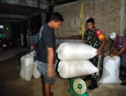 Babinsa Koramil 1409-03/Bontomarannu Dampingi Penyerapan Gabah Petani oleh Bulog di Desa Panaikang