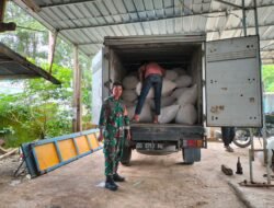 Babinsa Koramil 1409-03/Bontomarannu Aktif Pendampingan Penyerapan Gabah Petani oleh Bulog