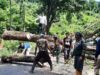Babinsa Koramil 1409-03/Bontomarannu Melaksanakan Karya Bakti Pembersihan Jalan dan Penebangan Pohon
