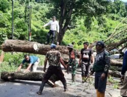 Babinsa Koramil 1409-03/Bontomarannu Melaksanakan Karya Bakti Pembersihan Jalan dan Penebangan Pohon