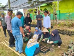 Padat Karya Tunai Desa (PKTD) Gelar Penanaman Sayur