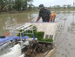 Babinsa Koramil 1409-08/Bontonompo Gencarkan Pemantauan dan Pendampingan LTT Guna Tingkatkan Ketahanan Pangan