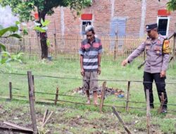 Peduli Ketahanan Pangan, Bripka Rahman Tinjau Lahan Tanaman Bergizi di Kelurahan Bajeng