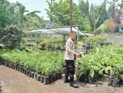Polres Pelabuhan Makassar Sulap Pekarangan Jadi Lumbung Gizi Warga