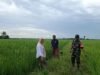 Babinsa Bontonompo Kawal Ketahanan Pangan Nasional Melalui Pendampingan Petani