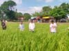 Sinergi Tiga Pilar: Babinsa, PPL, dan Bhabinkamtibmas Dukung Ketahanan Pangan di Gowa