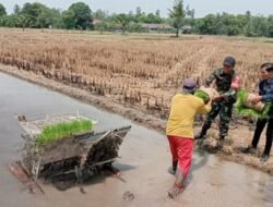 Babinsa Dampingi Petani Genjot Produktivitas: Mesin Tanam dan Pompanisasi Tingkatkan Luas Tambah Tanam di Bajeng