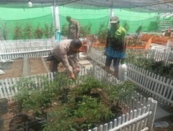 Polres Pelabuhan Makassar Galakkan Pekarangan Pangan Bergizi, Warga Kota hingga Pulau Ikut Menanam