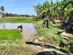 Tingkatkan Ketahanan Pangan, Serka Rizal Dampingi Petani di Gowa