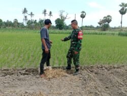 Tingkatkan Ketahanan Pangan, Babinsa Bontonompo Gowa Dampingi Petani Lakukan Perawatan Padi