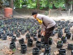 Polres Pelabuhan Makassar Dorong Warga Panen Gizi dari Pekarangan Rumah