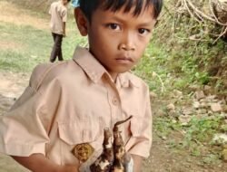 KETUA LSM GMBI Bontolempangan: Kenapa Harus Tunggu Viral Dulu Baru Pemerintah Bergerak?