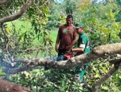 Aksi Cepat Tanggap! Danramil Bajeng Turun Langsung Pantau dan Bersihkan Dampak Bencana Angin Kencang di Gowa