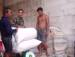 Tingkatkan Pangan Nasional, Babinsa Gowa Kawal Serap GKP dan Beras di Desa Sunggumanai