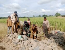 Wujudkan Program Pemerintah, Babinsa Bajeng dan PPL Kompak Garap Optimalisasi Lahan Pertanian